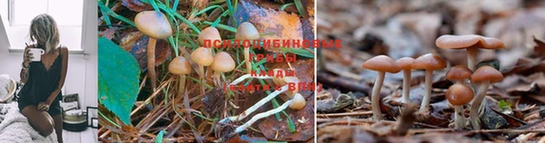 наркотики Алзамай