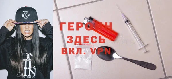 гашик Алексин