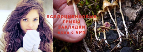 гашик Алексин
