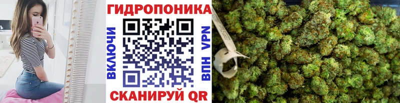 Бошки марихуана Amnesia Миасс
